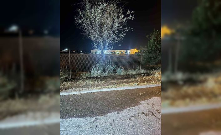 Batman’da gece saatlerinde havai fişek atarak yangın çıkaran 3 kişi yakalandı