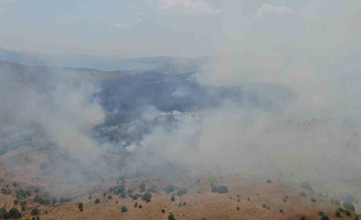 Elazığ’da orman yangını: Ekiplerin havadan ve karadan müdahalesi sürüyor