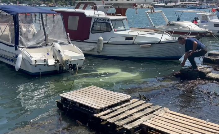 Haliç Sahili’nde sürücüsünün yol kenarına park ettiği otomobil denize düştü: Sürücü son anda kurtuldu