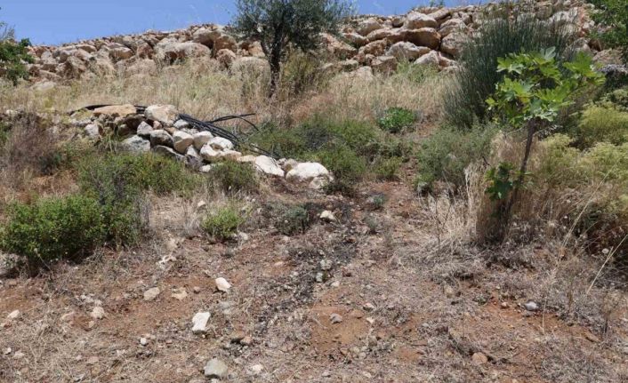 Her yerde aranıyordu, bahçesini sulayan vatandaşın aldığı koku üzerine cesedi bulundu