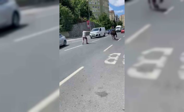 İstanbul’da kurbanlık dana firarda: Trafiği birbirine katan dana iki ilçe değiştirdi