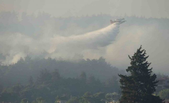 Tarım ve Orman Bakanı İbrahim Yumaklı: "Yangından etkilenen alanın yaklaşık 575 hektar olduğunu tahmin ediyoruz"