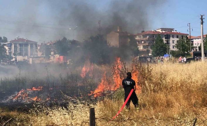 Tekirdağ’da mahalle arasındaki arazi yangını korkuttu: 50 güvercin son anda kurtarıldı