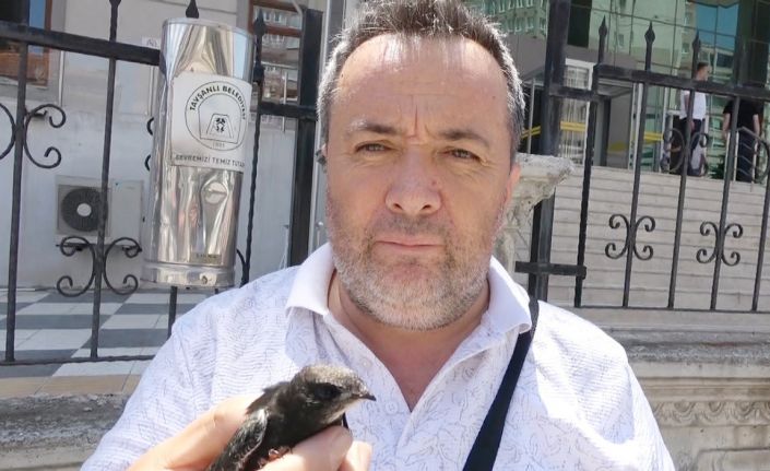 Ayağına ip takılmış ebabil kuşu Doğa ve Milli Parklar yetkililerine teslim edildi