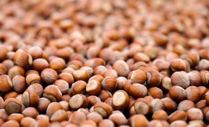 Ferrero sürdürülebilir fındık için kaydettiği güçlü ilerlemeyi ve yeni dönem hedeflerini açıkladı