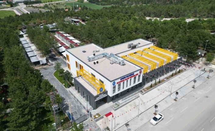 Sahipsiz sokak hayvanları düzenlemesinde Çorum bir adım önde başlıyor