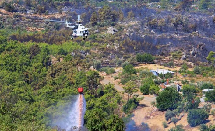 Türkiye’nin ilk kadın yangın yeri inceleme uzmanı Dr. Saadet Alkış: "Ormanların daha çok yerleşim bölgelerine yakın yerlerde yangın çıktığını tespit ettim ve bunlarda da hep insanların aktiviteleri var"