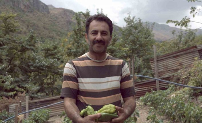 Kemaliye’de kapya biberi yetiştirilmeye başlandı