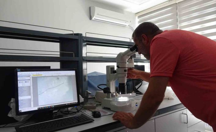 Doç. Dr. Ercoşkun:  “Çankırı’nın meşhur tuzu, yaklaşık 50 milyon yıl önce oluşmuştur