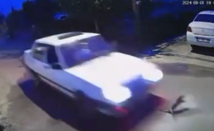 Yola çıkan kedi araç altında telef oldu, sürücü yoluna devam etti