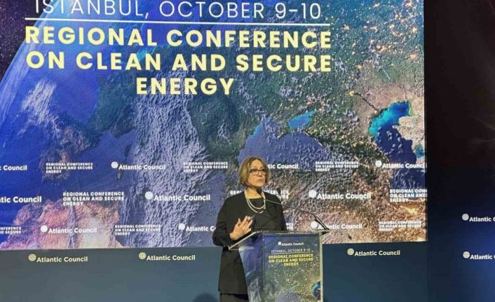 ABD Dışişleri Bakan Yardımcısı Pyatt: “Türkiye yenilenebilir enerji konusunda bir liderlik rolü üstlendi”