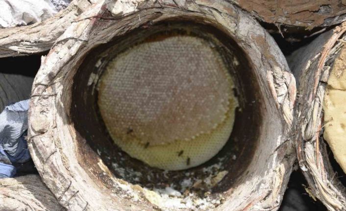 Bitlis’te dünyaca ünlü karakovan balının hasadına devam ediliyor