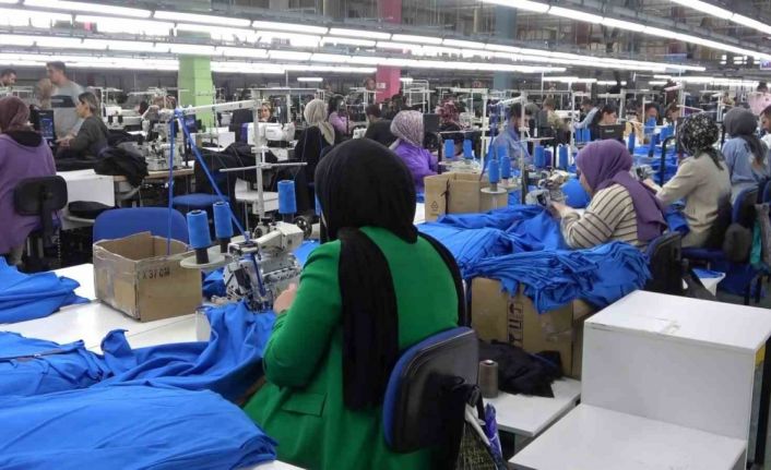 Deprem sonrası yaşanan istihdam ve üretim sorunları araştırılıyor