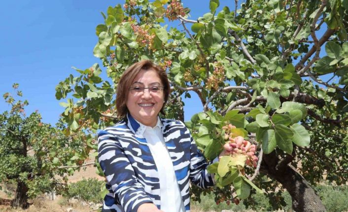 Dünyanın en iyi kuruyemişleri listesinde Antep fıstığı ikinci sırada