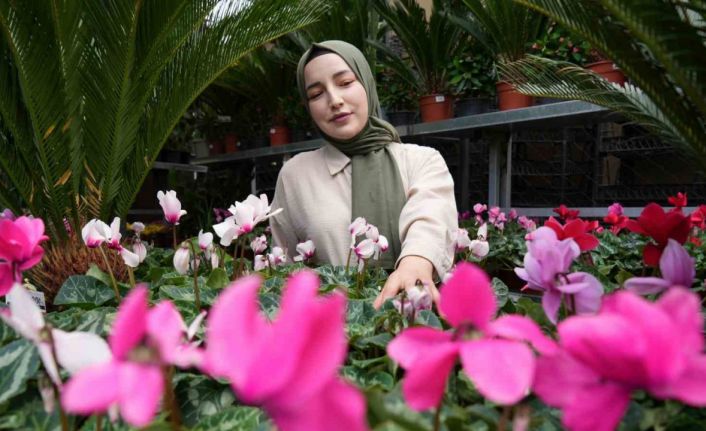 Ekim ayında en çok tercih edilen çiçekler kasımpatı ve sıklamen oluyor