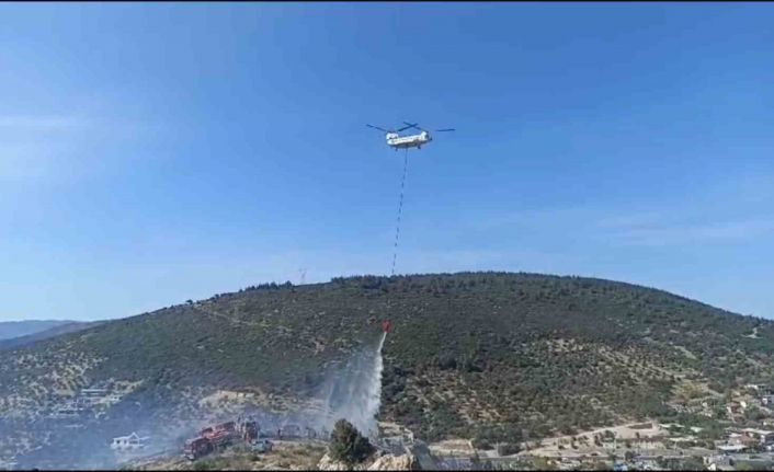Foça’da bir depoda başlayan ve ormanlık alana sıçrayan yangın söndürüldü