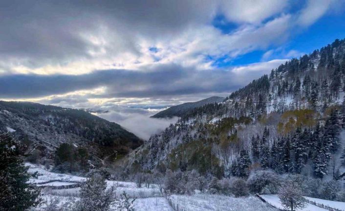 Gümüşhane’de kar ve sis buluştu ortaya tablo gibi bir fotoğraf çıktı