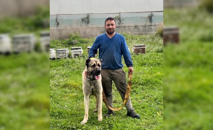 İskeleden denize atlayıp kuma çakılan genç, 1 aylık yaşam savaşını kaybetti