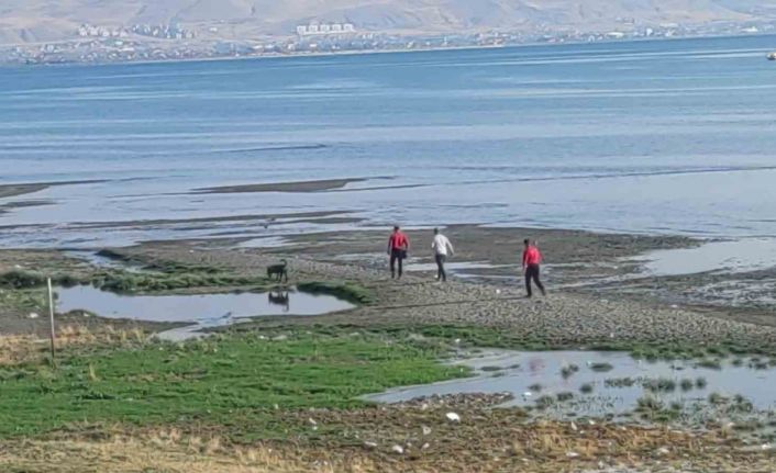 Kayıp üniversite öğrencisini arama çalışmalarına jandarma sualtı kadavra arama köpeği katıldı