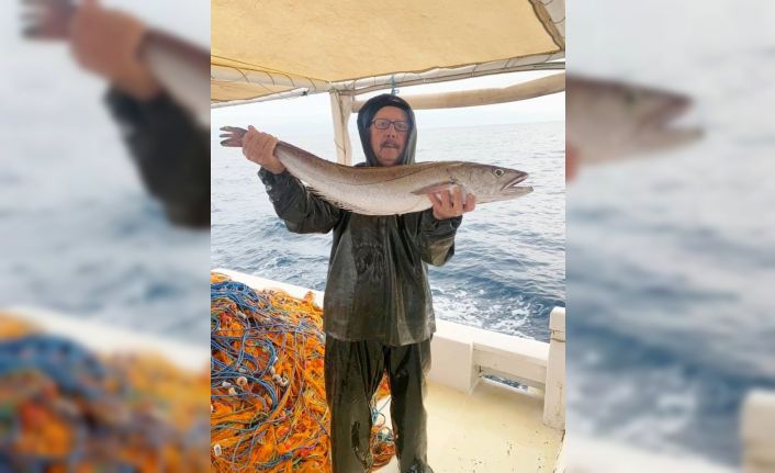 Midilli’de bulunan cesedin Ayvalıklı kayıp balıkçıya ait olup olmadığı araştırılıyor