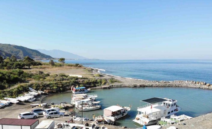 Oltayla tuttuğu 1 buçuk metrelik devasa balığı görünce gözlerine inanamadı