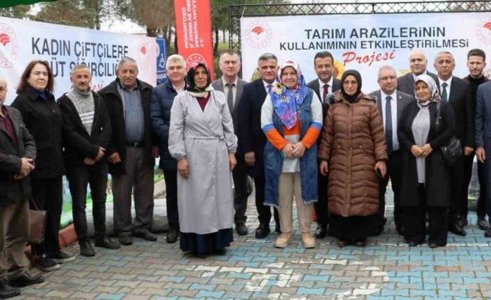 Sağlam: “Ülkemizde kadın üreticilerimize 21 yılda 15 milyar TL destek verildi”