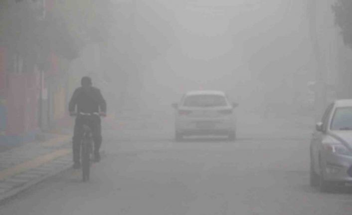 Sakarya güne sisle uyandı: Görüş mesafesi 10 metreye kadar düştü