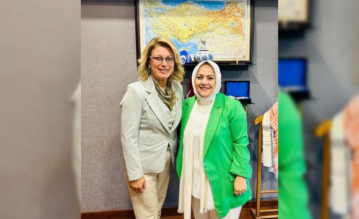 Sema Silkin Ün ile Genel Başkan Asu Kaya kadına şiddet konusunda bir araya geldi