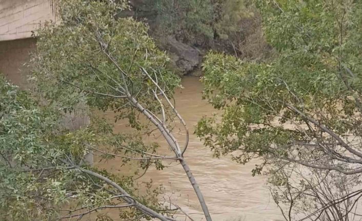 Siirt’te sağlık ekibinin aracı köprüden düştü, doktor ve hemşireyi köylüler kurtardı