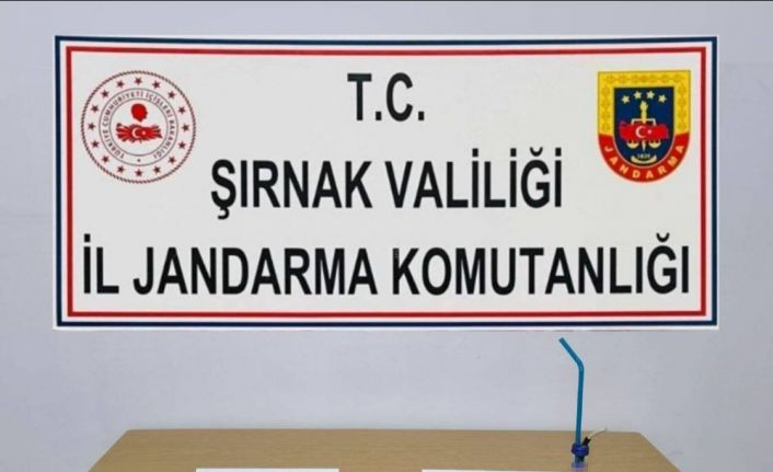 Şırnak’ta 2 milyon 900 bin lira değerinde gümrük kaçağı ürün ele geçirildi