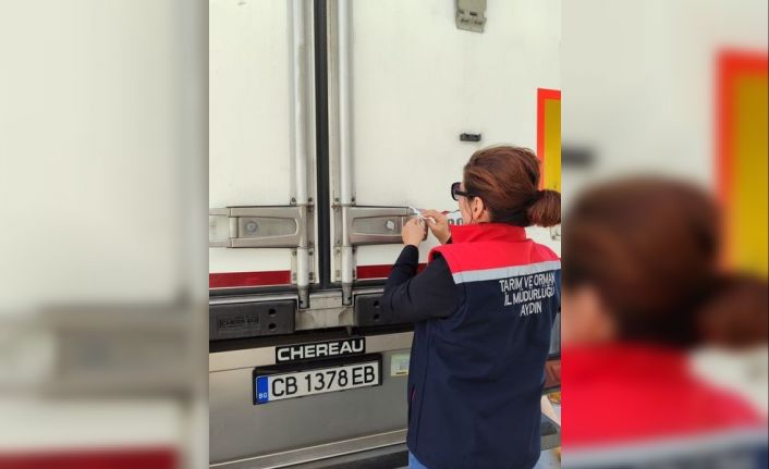 Söke’de 3 tır işlenmiş balığa ihraç edilmek üzere ön sağlık sertifikası düzenlendi