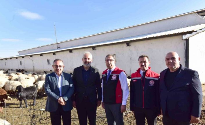 Tarım ve Orman Bakan Yardımcısı Gümen, Ahlat’ta tarım ve hayvancılık tesislerini gezdi