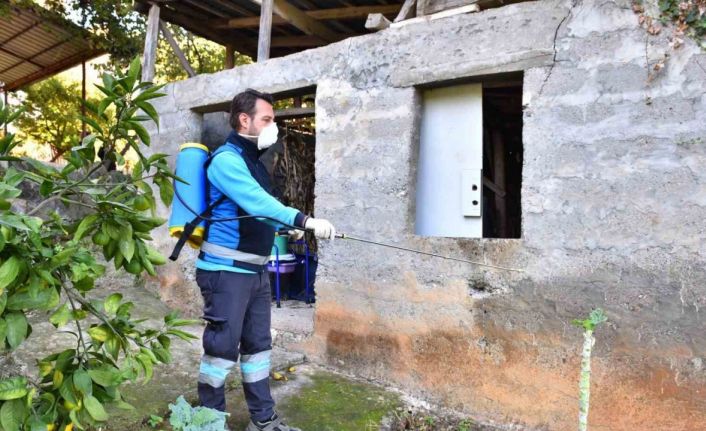 Trabzon’da kokarcaya geçit yok: “2 bin 60 noktada, 108 bin 800 metrekare alanda ilaçlama”