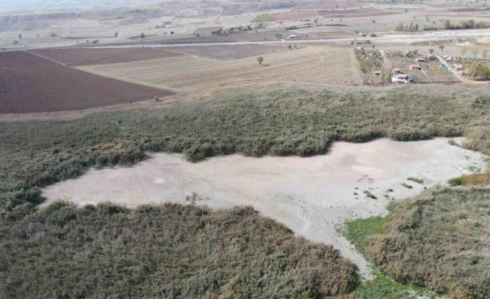 Türkiye’nin en önemli kuş cennetleri arasında yer alıyordu: Kuraklık tamamen kuruttu