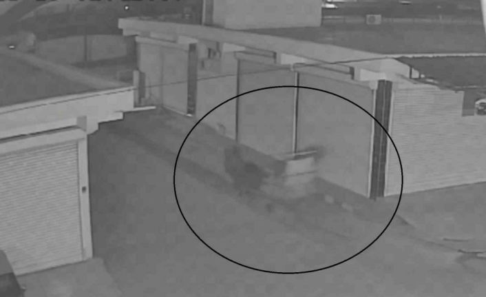 Akıl almaz olay; at arabasıyla gelip, sitenin demir kapısını çaldılar o anlar kamerada