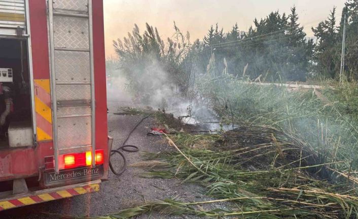 Arsuz’da dere yatağındaki otlar yandı
