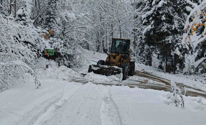 Artvin’de kapalı olan köy yollarını ulaşıma açmak için çalışmalar sürüyor