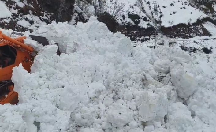 Artvin’de Macahel yolunda çığ meydana geldi, bölgedeki 6 köyle ulaşımı kesildi