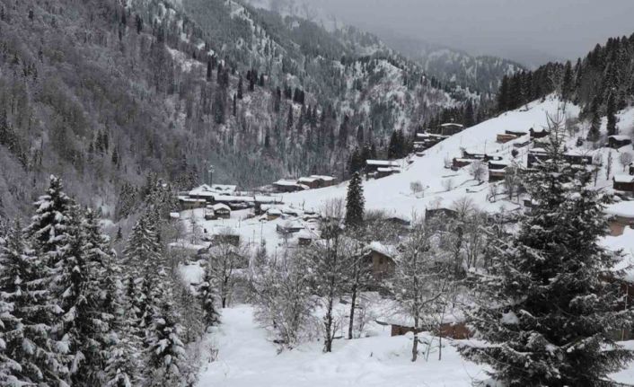 Ayder Yaylası’nda günlerdir devam eden kar yağışı hem ziyaretçileri hem işletmecileri mutlu ediyor