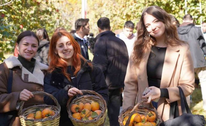 Bilecik’te 6 yıl önce deneme amaçlı dikilen hurma fideleri ilk meyvelerini verdi