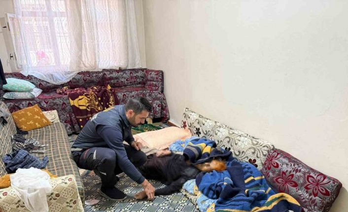 Diyarbakır’da ısınmak için eve mangal bırakan çiftten bir kişi hayatını kaybetti