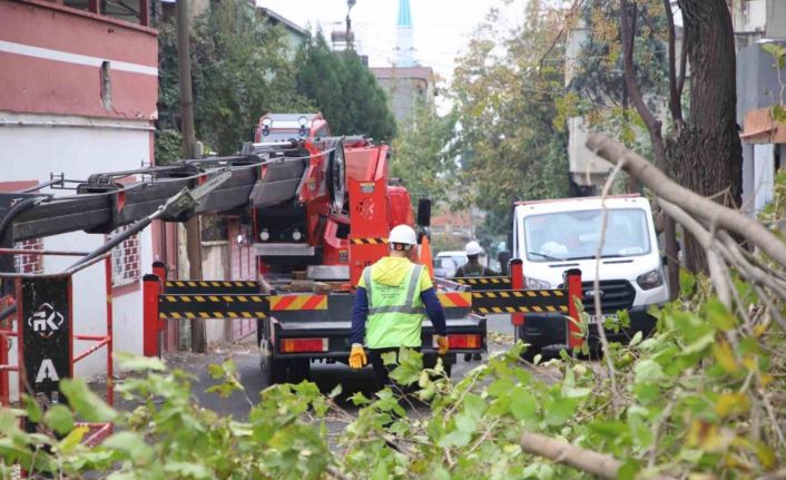 Dulkadiroğlu Belediyesi’nden yeşil alan atağı