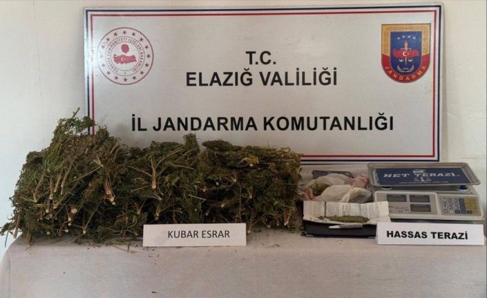Elazığ’da evde 3 kilo 200 gram esrar ele geçirildi: 1 gözaltı