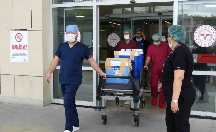 Kaza sonrası beyin ölümü gerçekleşen 19 yaşındaki Fatma’nın organları 4 hastaya umut oldu