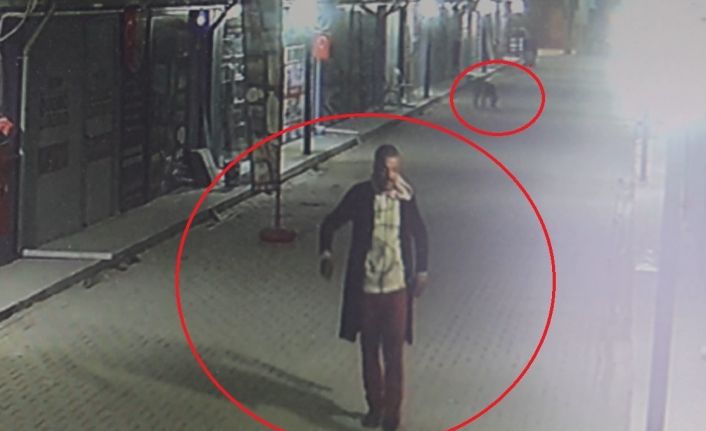 Kedileri köpeklere parçalatan madde bağımlısı şahıs adli kontrol şartıyla serbest bırakıldı