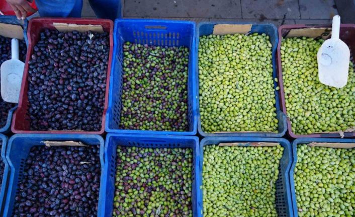 Kilis’te yerli sofralık zeytin tezgahlarda yerini aldı