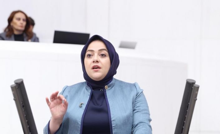 Milletvekili Ün; “Tarım, bir ülke açısından stratejik değil, jeopolitik bir meseledir”