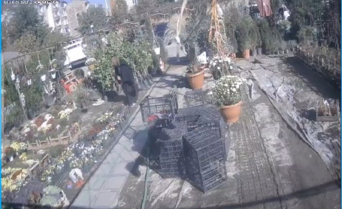 Önce inceledi, ardından şalının altına koyup kaçtı