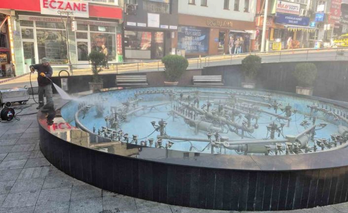 Süs havuzuna tuvaletini yapan adamın akli dengesinin yerinde olmadığı ortaya çıktı