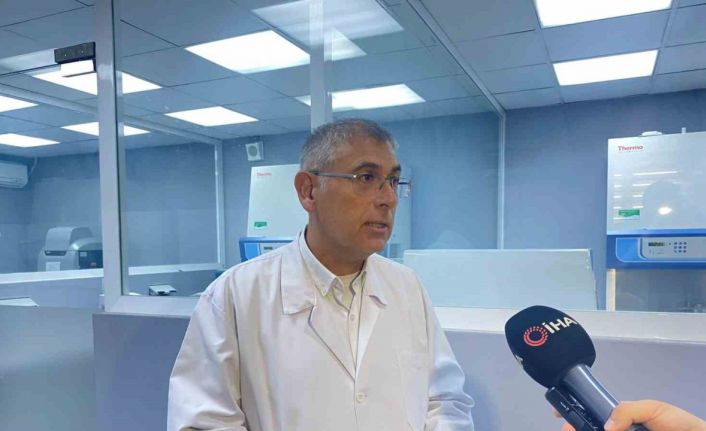 Türkiye’de kuş gribi vakaları göçmen su kuşları kaynaklı ortaya çıkıyor